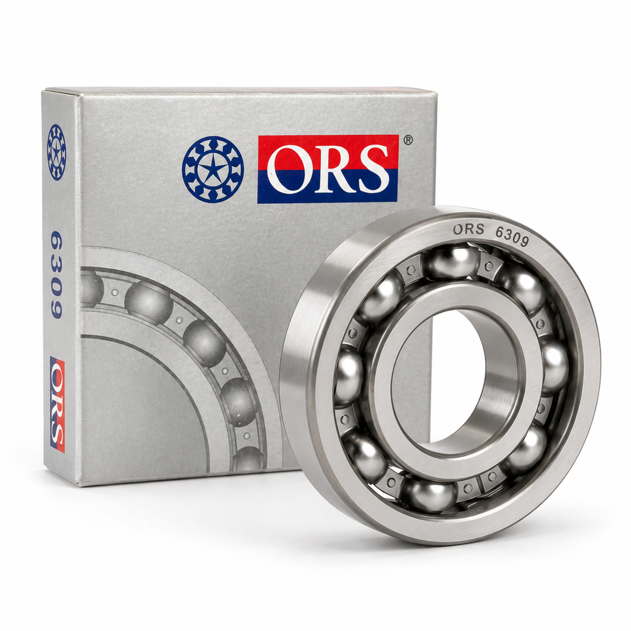 ORS 6309 Rulman